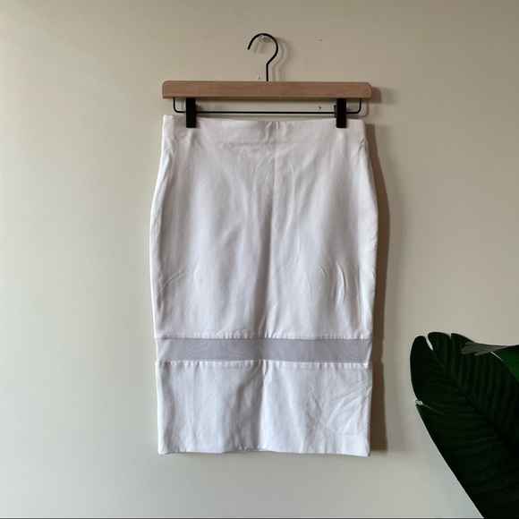 White Skirt w/ Mesh Panel Stripe - Picture 2 of 4